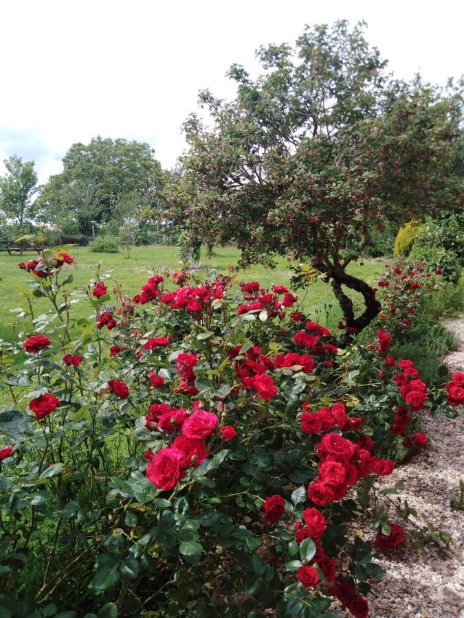 A L Epoque Bed & Breakfast Bouges  Екстериор снимка